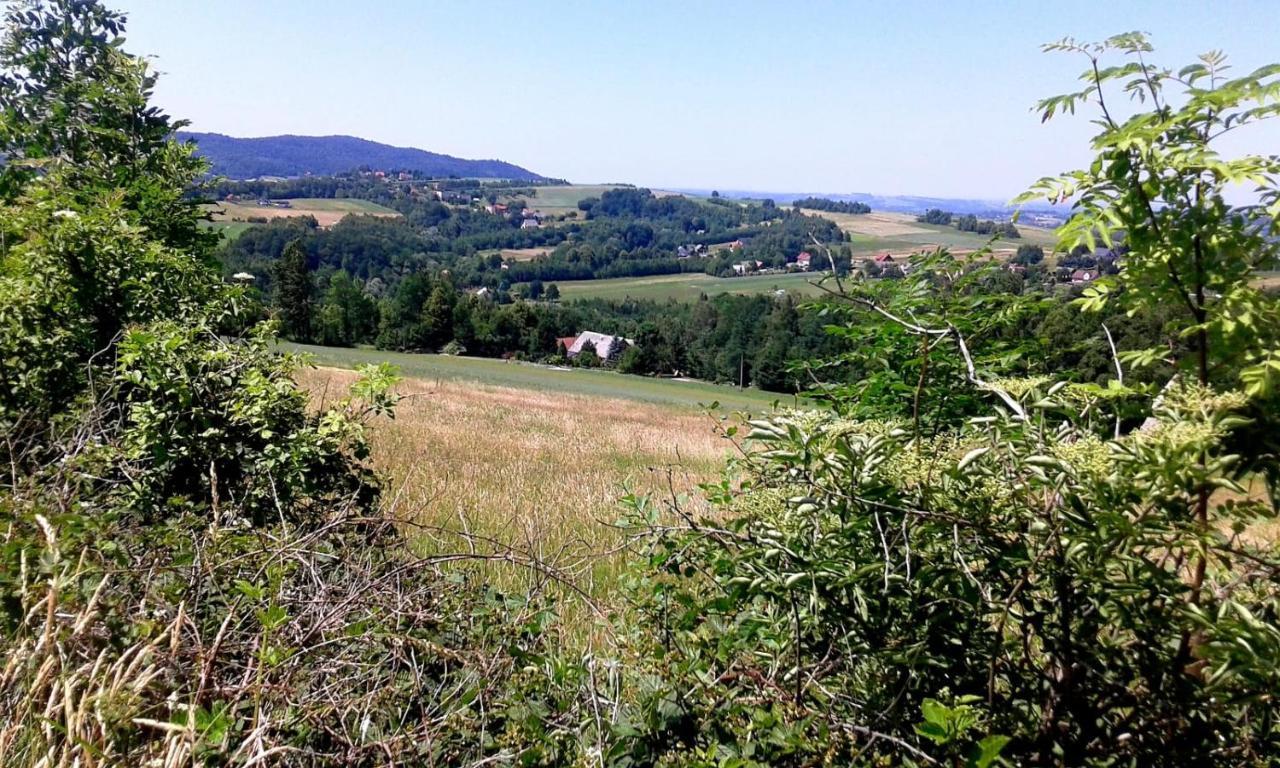 Agroturystyka Zielona Dolinka Stryszow エクステリア 写真
