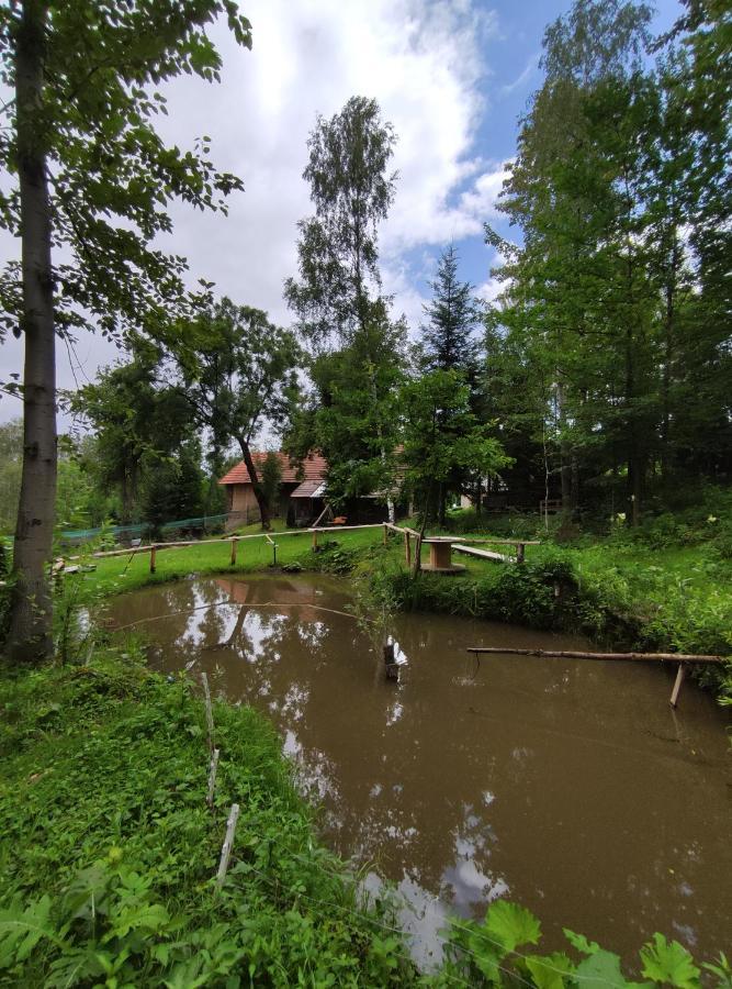Agroturystyka Zielona Dolinka Stryszow エクステリア 写真